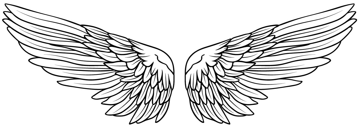 ANGEL WINGS for Coloring Peel & Stick FAN0031