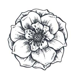 FLOWER for Coloring Peel & Stick FLO0044