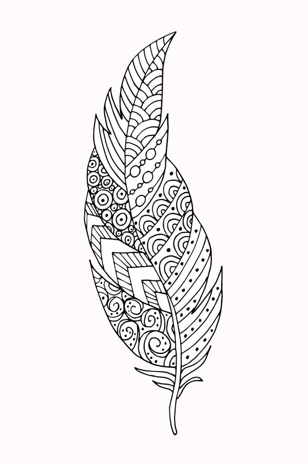 FEATHER for Coloring Peel and Stick LIF0027