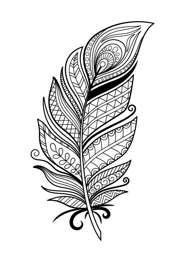 FEATHER for Coloring Peel and Stick LIF0028