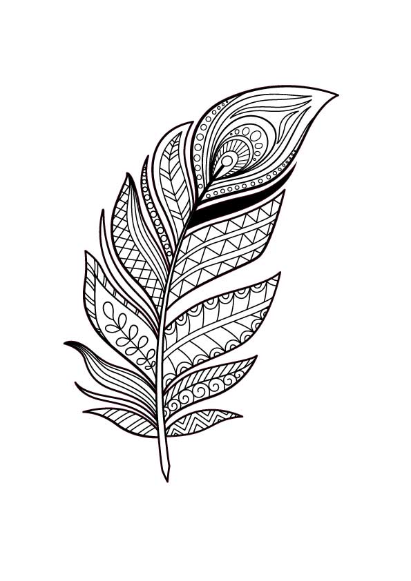 FEATHER for Coloring Peel and Stick LIF0030