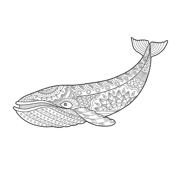 WHALE for Coloring Peel & Stick ANI0010
