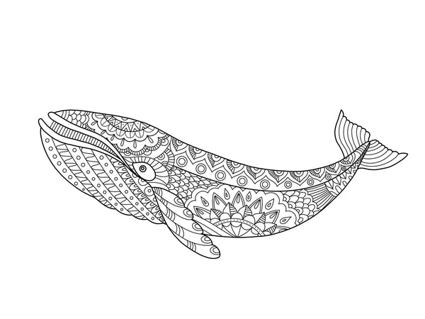 WHALE for Coloring Peel & Stick ANI0014