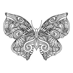 BUTTERFLY for Coloring Peel & Stick ANI0070