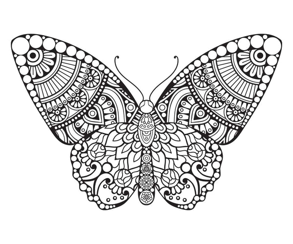 BUTTERFLY for Coloring Peel & Stick ANI0071