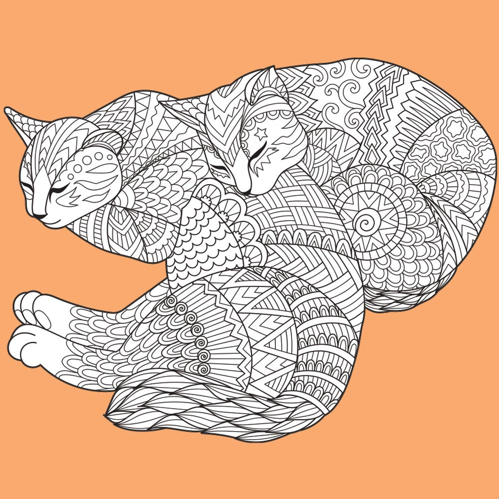 SLEEPY CATS for Coloring Peel & Stick ANI0005