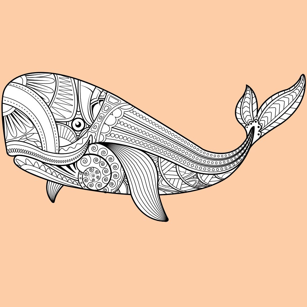 WHALE for Coloring Peel & Stick ANI0013