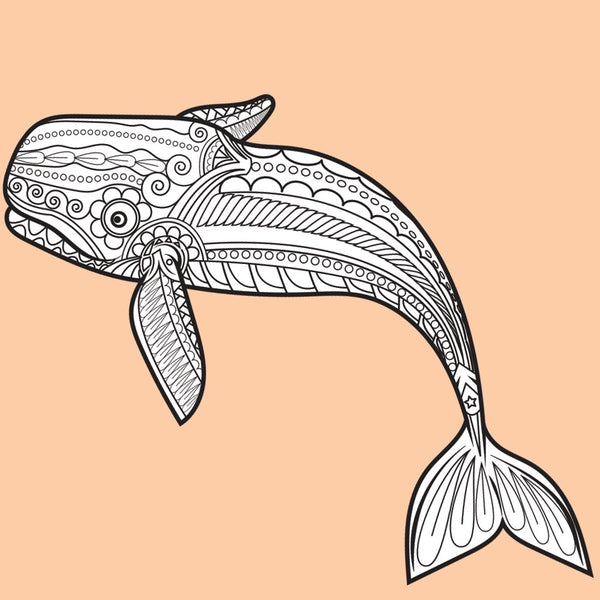 WHALE for Coloring Peel & Stick ANI0016