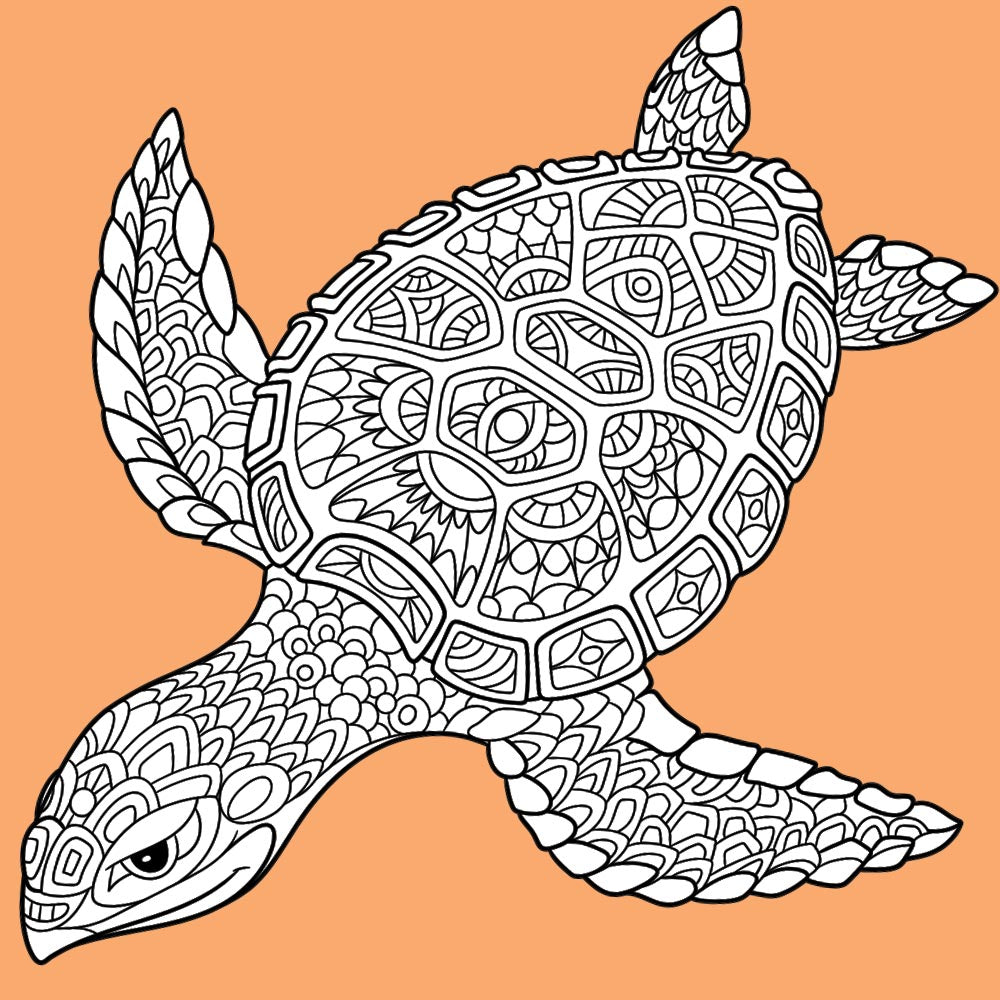 SEA TURTLE for Coloring Peel & Stick ANI0017