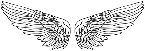 ANGEL WINGS for Coloring Peel & Stick FAN0031