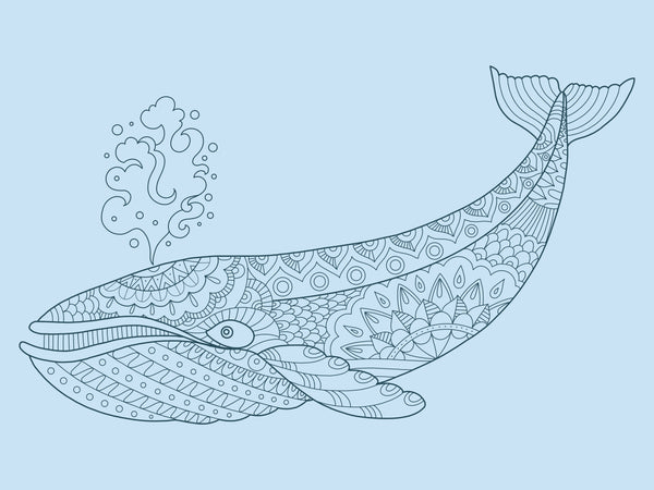 WHALE for Coloring Peel & Stick ANI0010