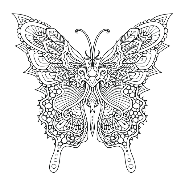 BUTTERFLY for Coloring Peel & Stick ANI0021